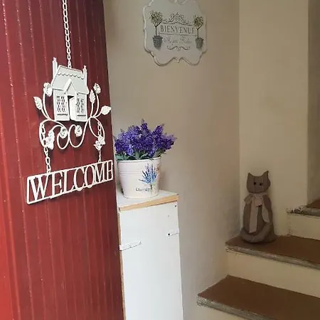 Appartement Uno Scorcio Sul Faggeto Lario